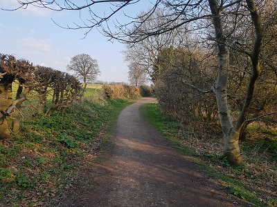 Photograph of Wheathampstead 12