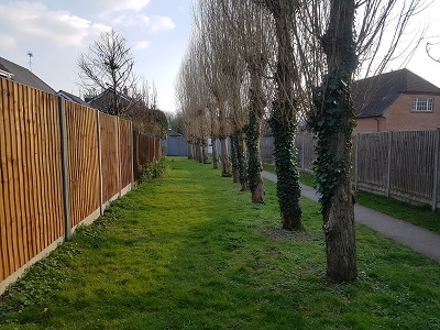 Wheathampstead 17 photograph