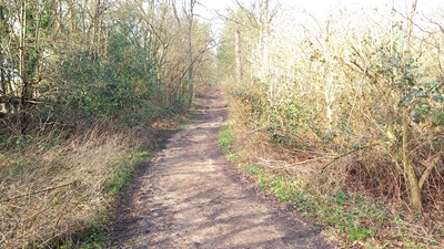 Photograph of Whippendell riding route A