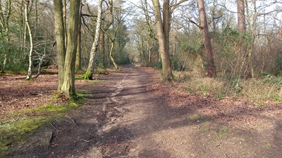 Photograph of Whippendell riding route A