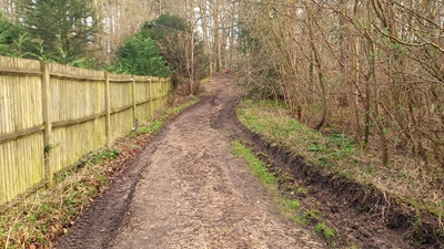 Photograph of Whippendell riding route B