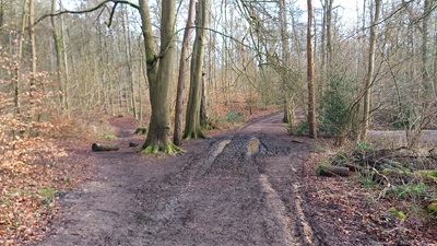 Photograph of Whippendell riding route B