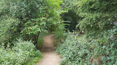 Woolmer Green 10 photograph