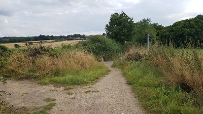 Woolmer Green 10 photograph