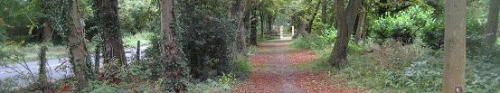 2009 Retrospective - Image of ... byway