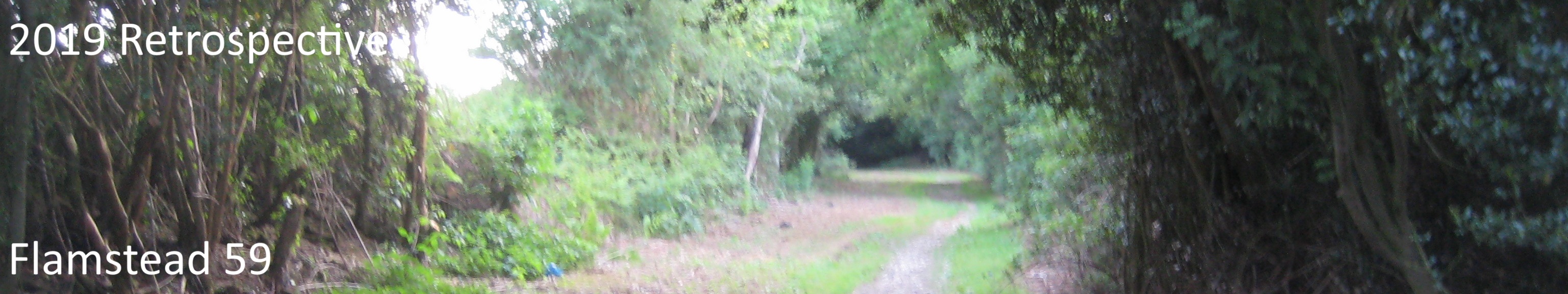 2019 Retrospective - Image of Flamstead 59 byway